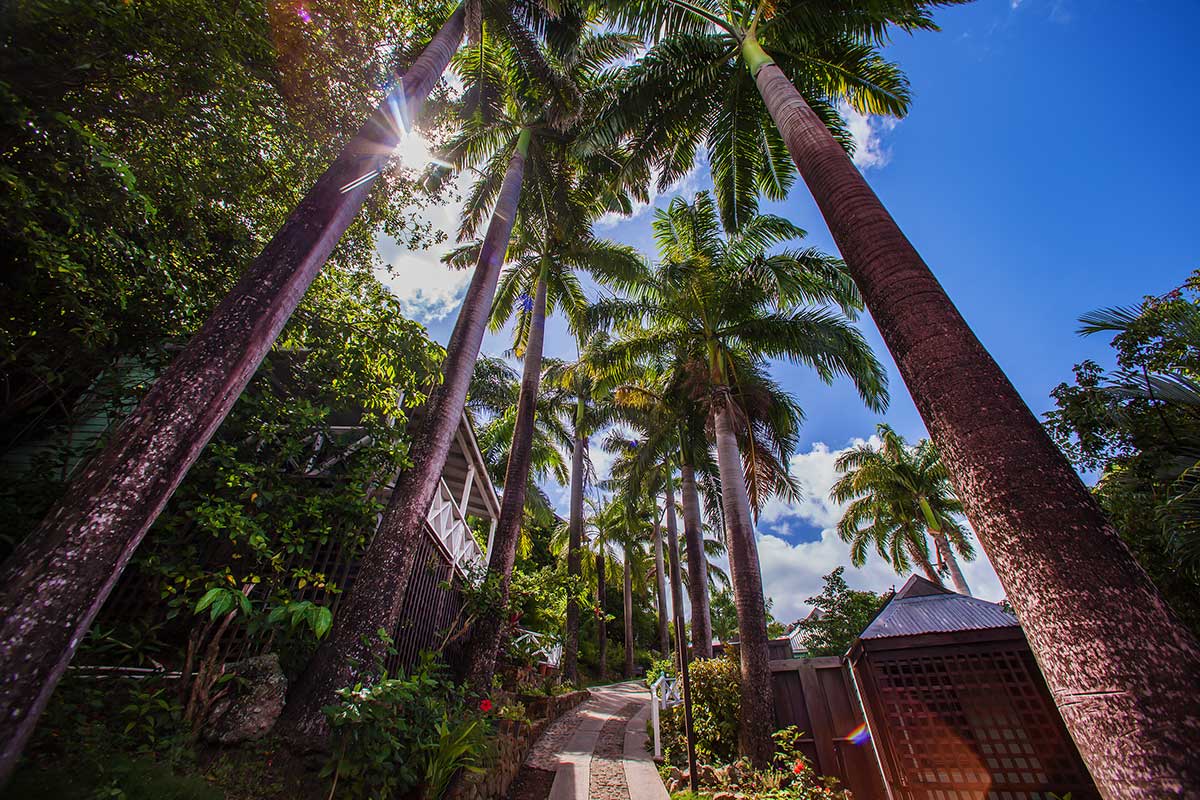 Al Fresco Corridors