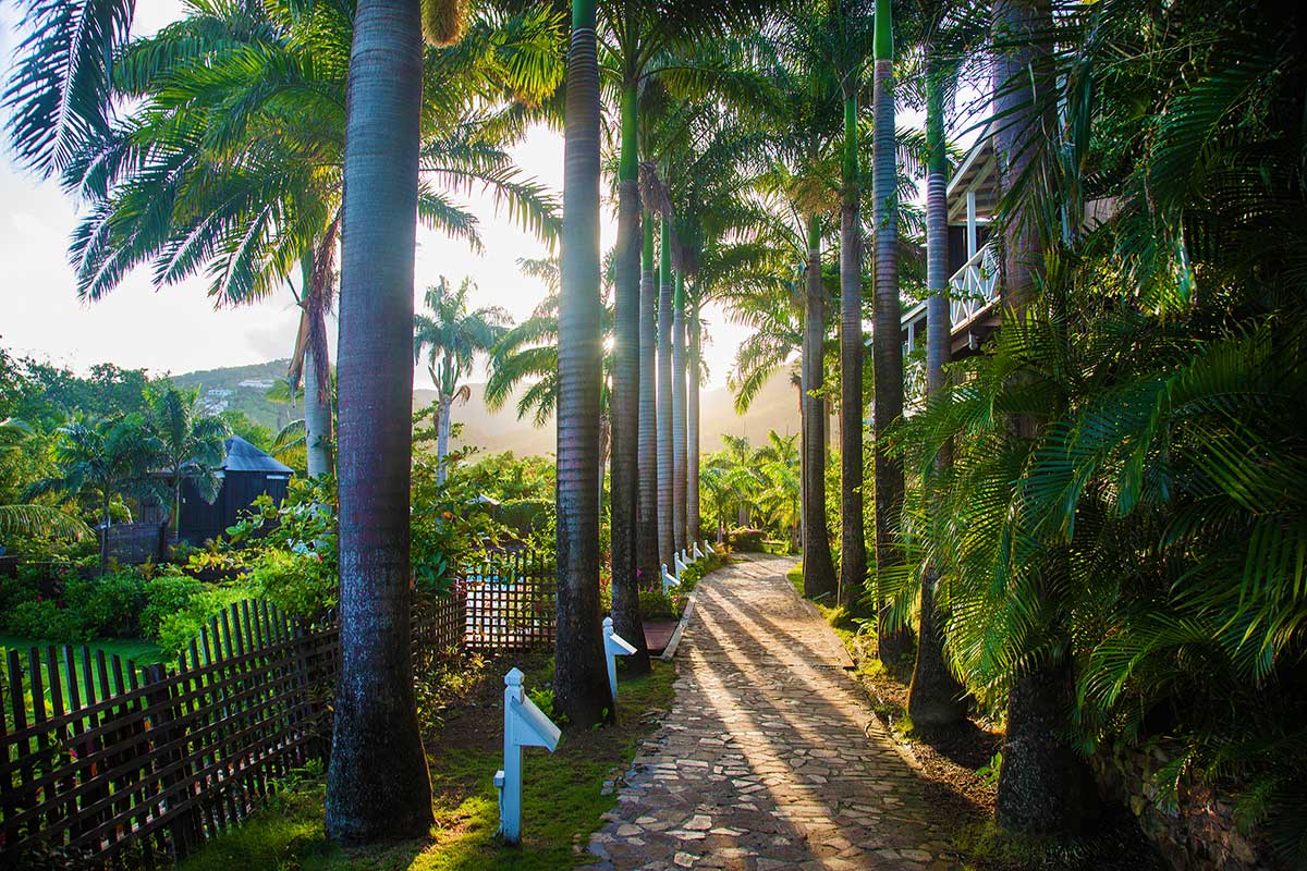 Entrance Walkway