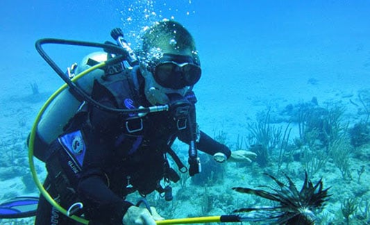 indigo divers Antigua